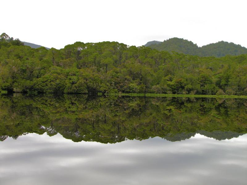 Reflections 3 - Reflections 3 Gordon River ©2009 Martin Oretsky